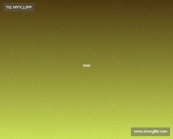 安康电子城 安康电子城